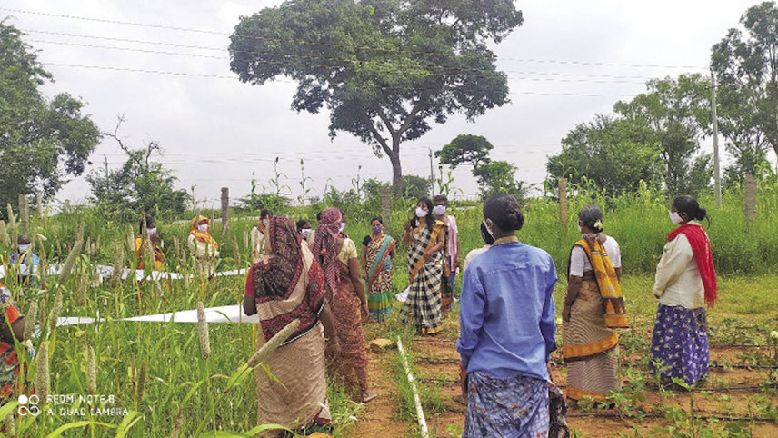 Bayer Foundation India has undertaken initiatives to enable small holder farmers maximise output and enhance farm income