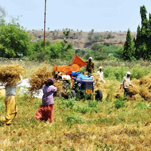 Was the farm sector a bright spot? Studies expose its darker side; Photo: Sanjay Borade
