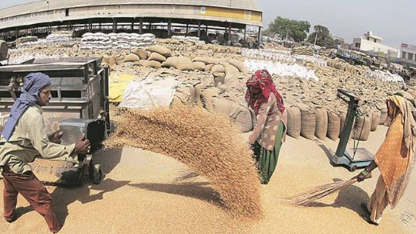 India tries to avert a looming wheat crisis by suspending exports